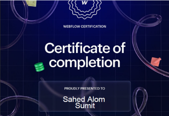 Webflow Expert